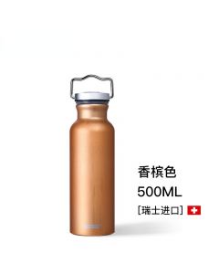 瑞士SIGG进口水杯带盖夏季户外大容量水壶ins简约便携金属随行杯500ml-金色