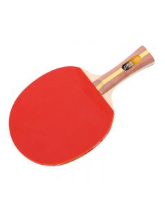 红双喜横拍双面反胶乒乓球拍横拍 H2002